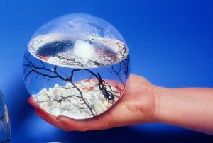 ecosfera 2