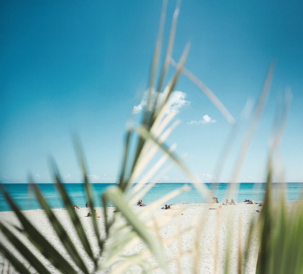 Costa Rica es la vida en su estado más salvaje y apasionante